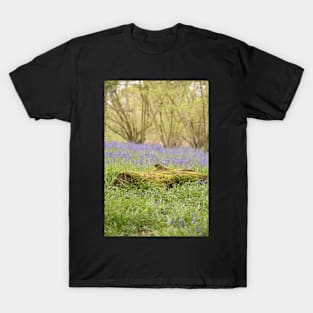 Hillhouse bluebell wood T-Shirt